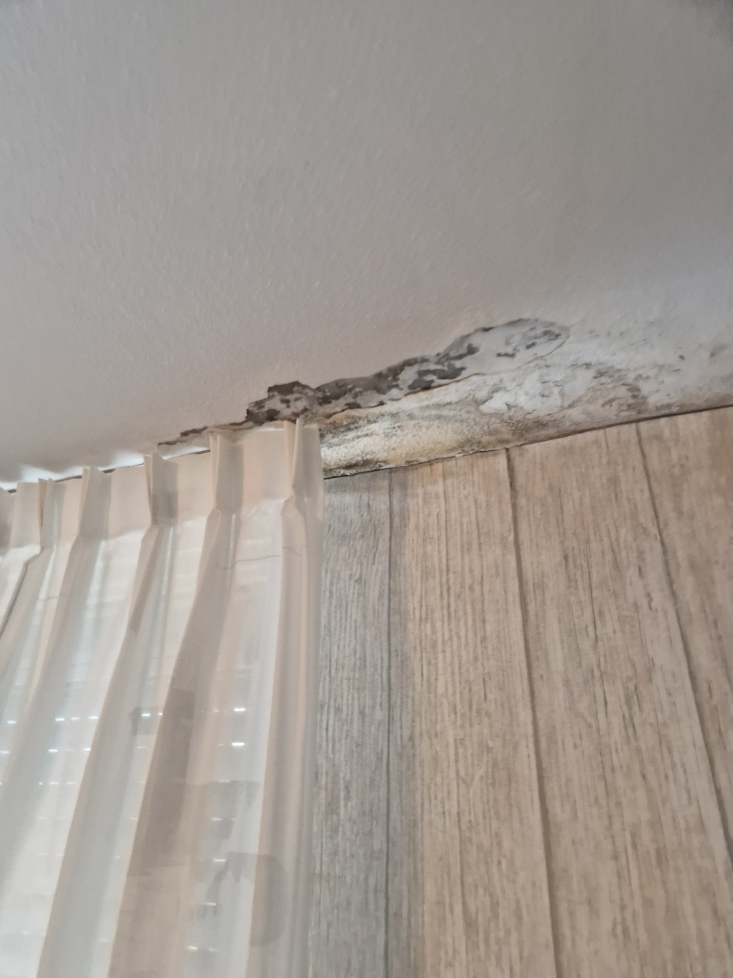 Schimmel plafond door daklekkage Amsterdam